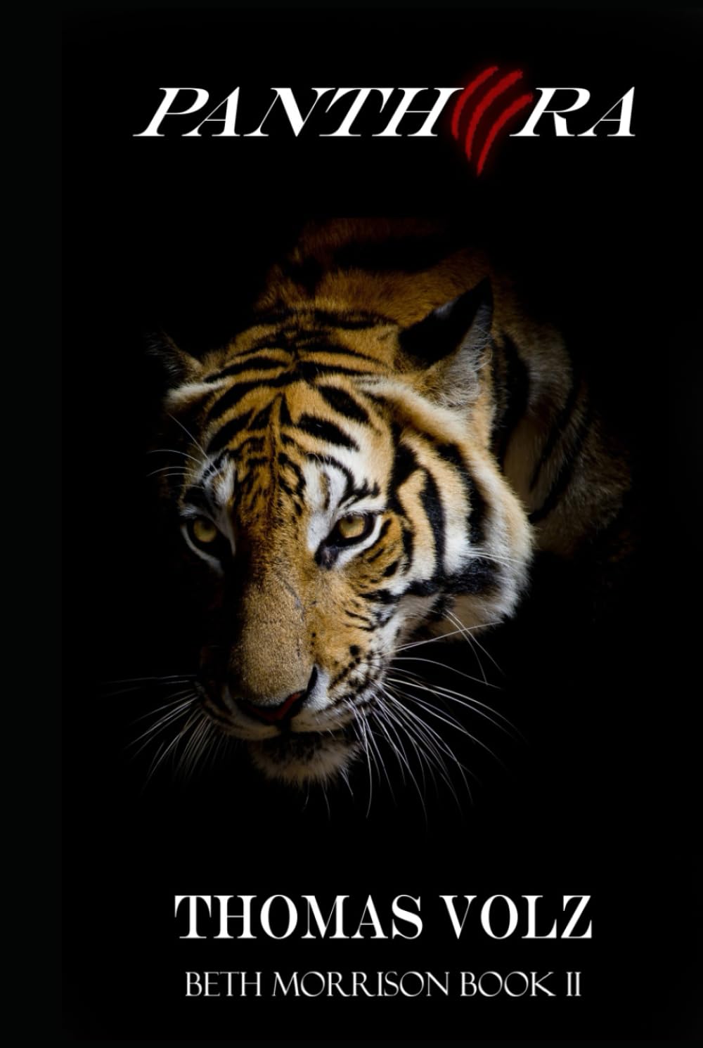 Panthera (Beth Morrison)