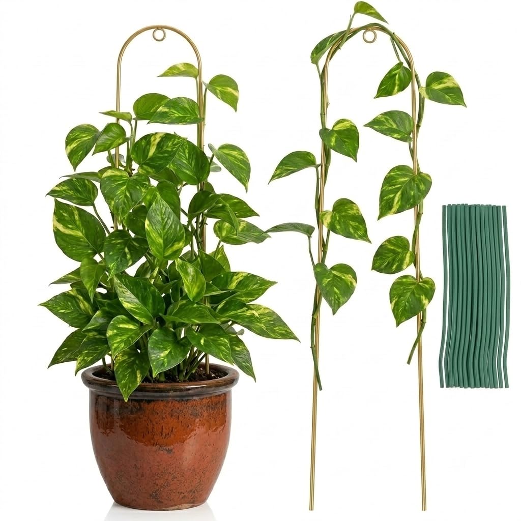 SUPVOX Metal Climbing Plants Trellis 42x10cm - 2Pcs Golden U-Shape Plant Support Rack for Indoor Potted Vines with 20Pcs Green Garden Twist Ties