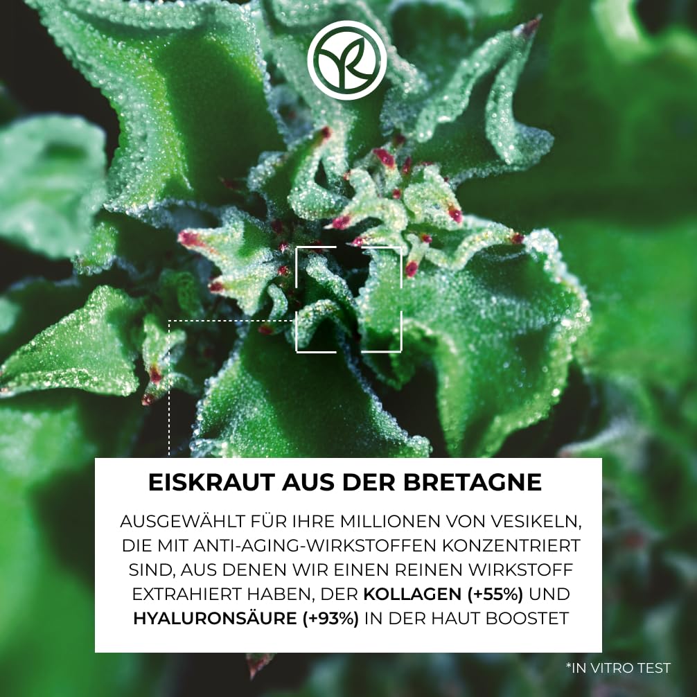 Yves Rocher LIFT Pro-COLLAGÈNE Anti-Falten Set – Tagescreme 50ml + Augenpflege 14ml – Mit Kollagen & Hyaluronsäure – Straffende Gesichtspflege & Glättende Augencreme