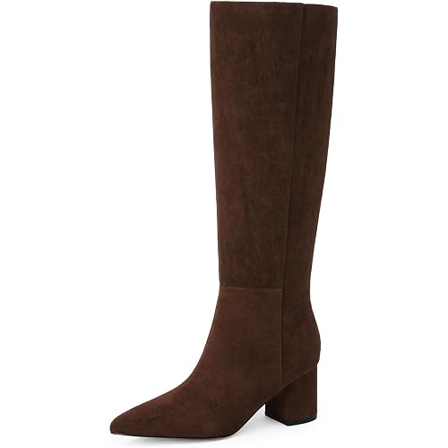 Womens Knee High Boots Chunky Low Heel Pointed Toe Tall Long Boots | Balanced Low Block Heel, Sleek Pointed Toe, Anti-slip Rubber Outsole, Fashion Heeled Dressy Fall Winter Long Boots for Women
