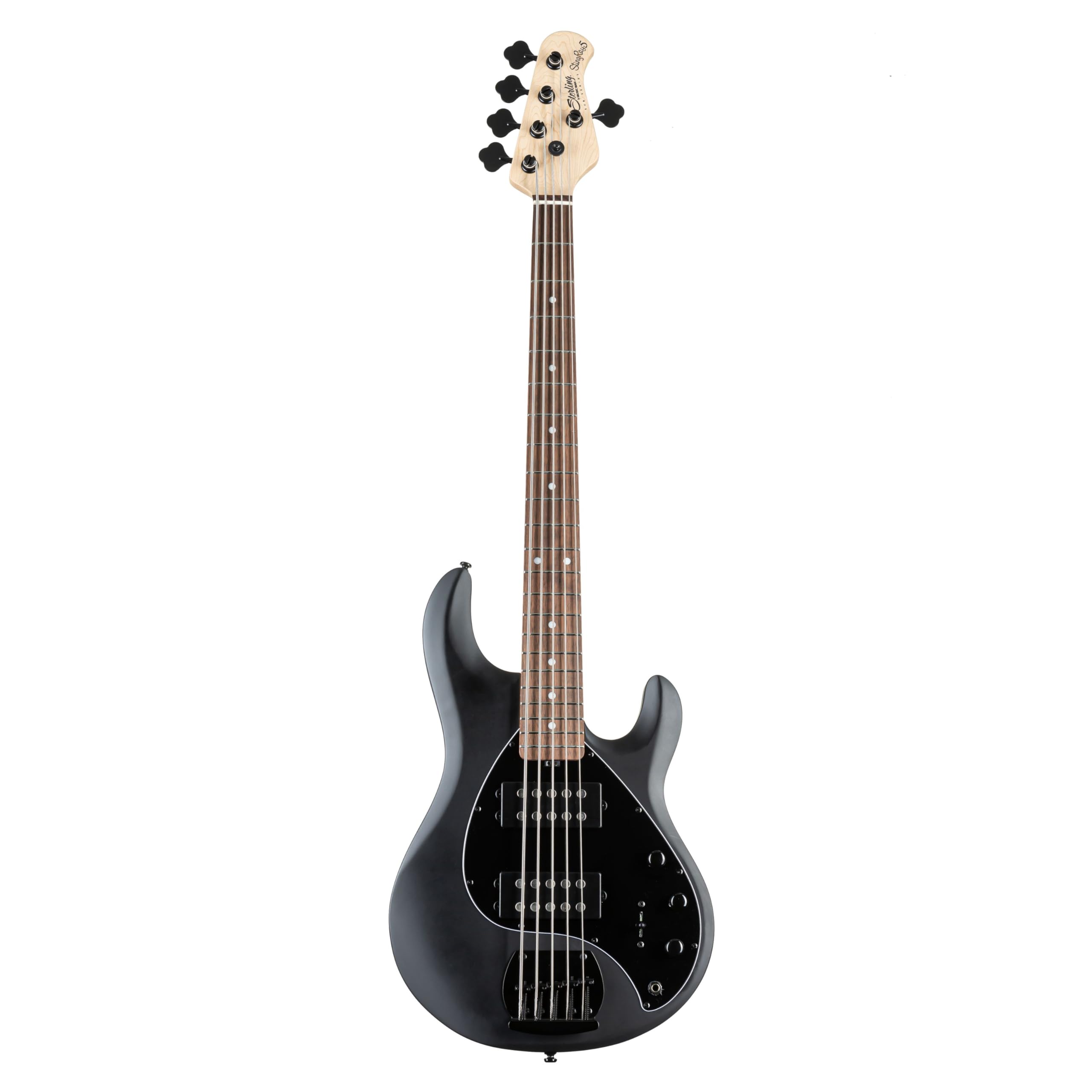 Amazon | STERLING by Musicman RAY5HH-J1 SBK ステルス・ブラック