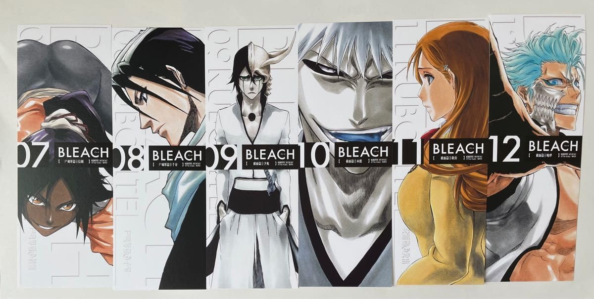 BLEACH ブリーチ 白一護 ロングイラストカード 特典 BLEACH ロングイラストカード 黒崎一護 アニメイト 書籍1巻購入