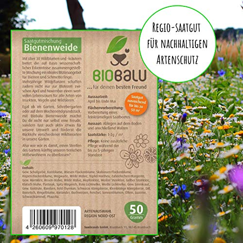 Bienenfutter Biobalu Bienenweide – Mehrjährige Blumenwiese Samen