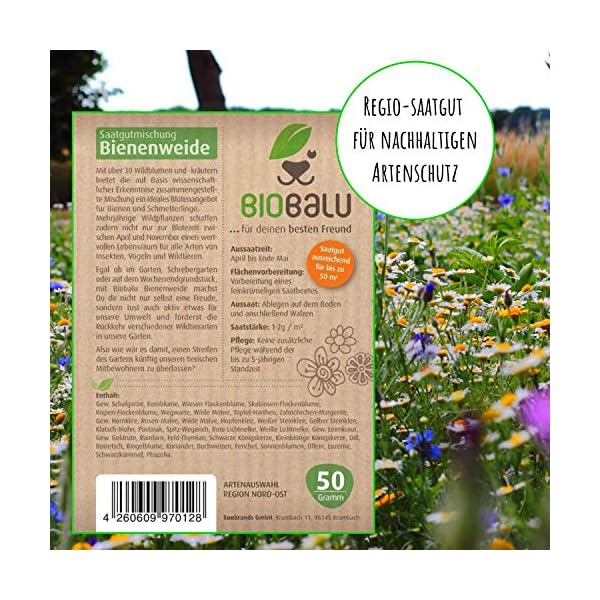 Biobalu Bienenweide - Blumenwiese Samen mehrjährig & winterhart, Samen - Über 40 heimische Blumen und Wildkräuter… – Bild 5
