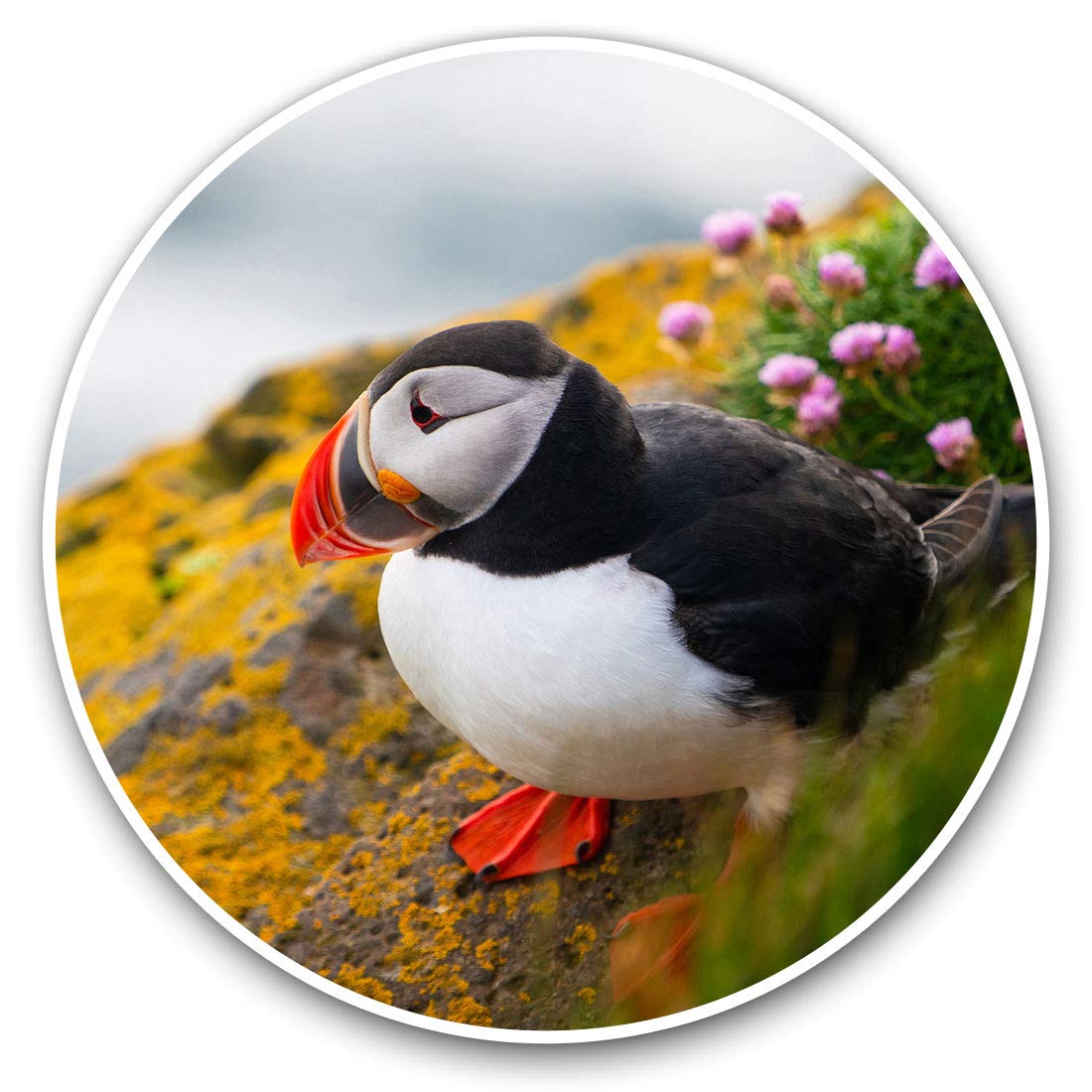 Destination Vinyl Ltd Atlantic Puffin Bird 21164 Awesome Vinyl Stickers (Set Of 2) 15Cm - Beautiful Atlantic Puffin Bird Fun Decals For Laptops,Tablets,Luggage,Scrap Booking,Fridges #21164