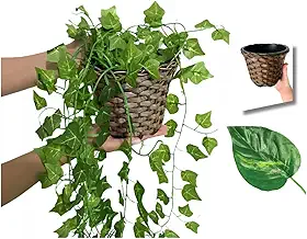 Arranjo C/ 3 Trepadeira + Vaso Trançado Marrom | Arranjo Trepadeira Artificial para Decorações | Plantas para Decoração de Casa, Sala De Estar, Casamento & Escritorio (Folhas de Jiboia)