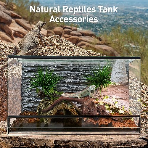 Image of WDEFUN Natural Driftwood for Aquarium Decor, 5-Piece 5''-8'' Large Driftwood for Decorations on Fish Tank, Reptiles Bearded Dragon Accessories or Air Plants
