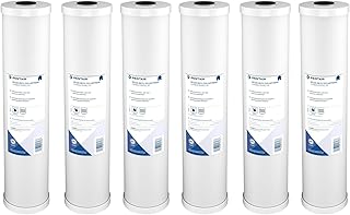 Pentair Pentek RFC-20BB Big Blue Carbon Water Filter, 20-Inch, Whole House Heavy Duty Radial Flow Carbon Replacement Cartr...