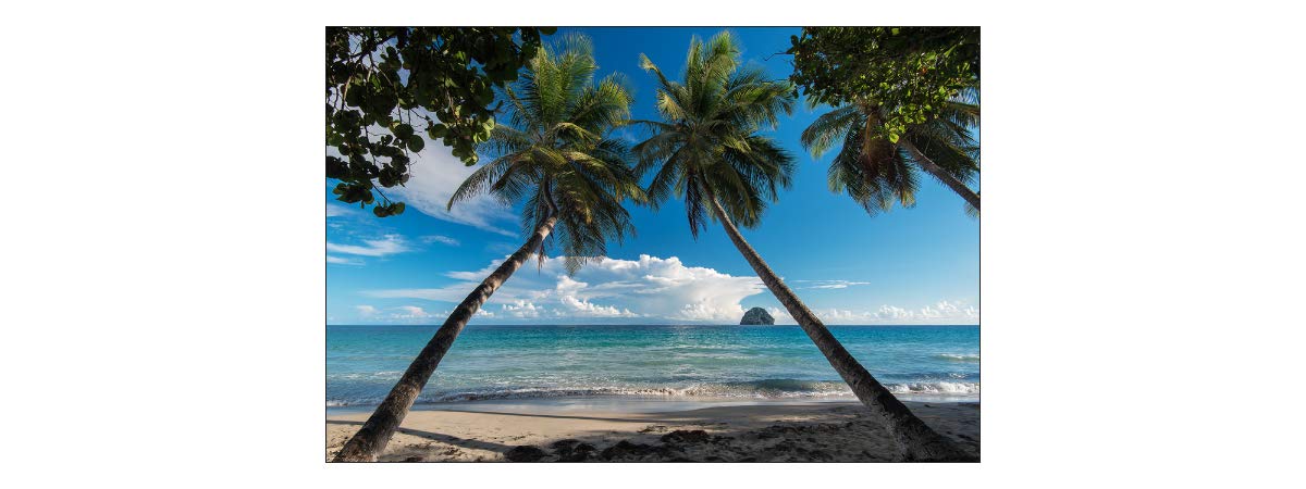 Muralo 124471791 - Carta da parati con palme in vinile, colore: Blu mare soleggiato