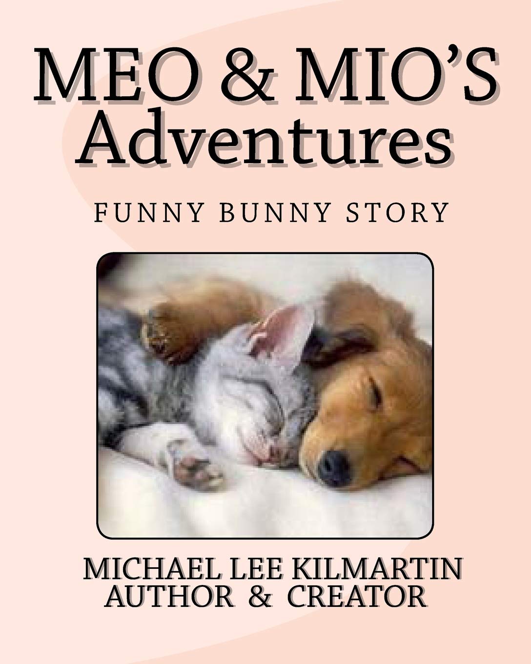 Meo & Mio's Aventures: The Funny Bunny Story: Volume 2 (Meo & Mio's Adventures)