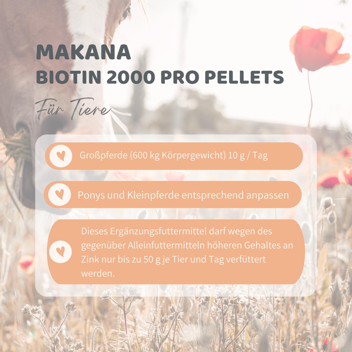 Makana Biotin 2000 pro für stabile Hufe, pelletiert, 2er Pack (2 x 1.5 kg)