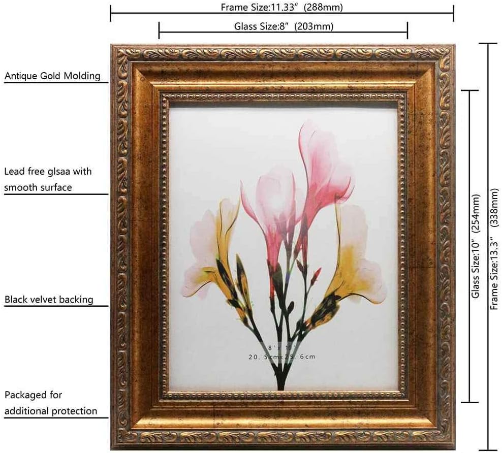 8x10 Antique gold photo frames 2-Pack-HD Organic Glass Black Velvet Back Panel for Family,Wedding,Festival,Art,Wall,Tabletop,Decoration and Display