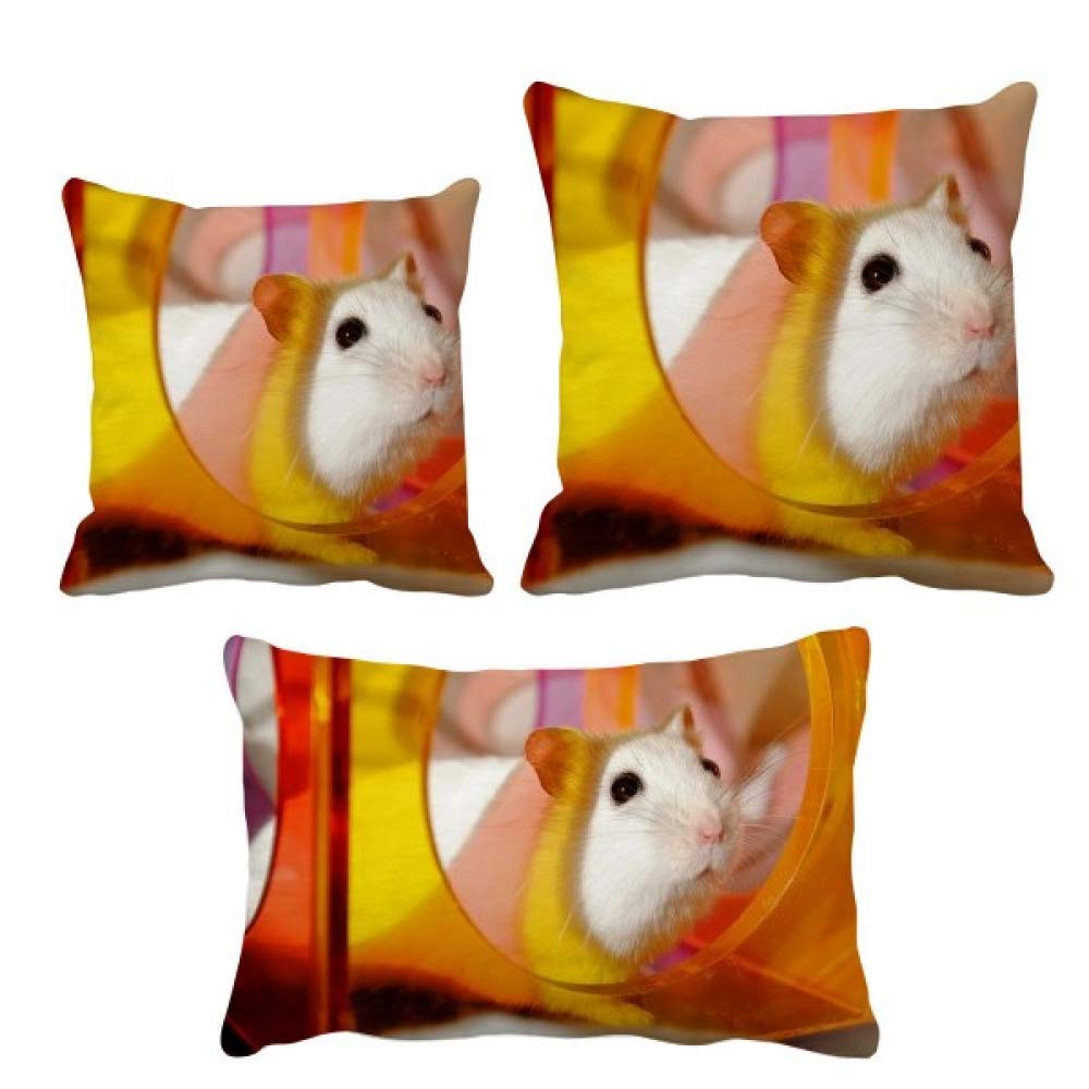 Coussin pour animaux domestiques rat blanc DIYthinker confortable
