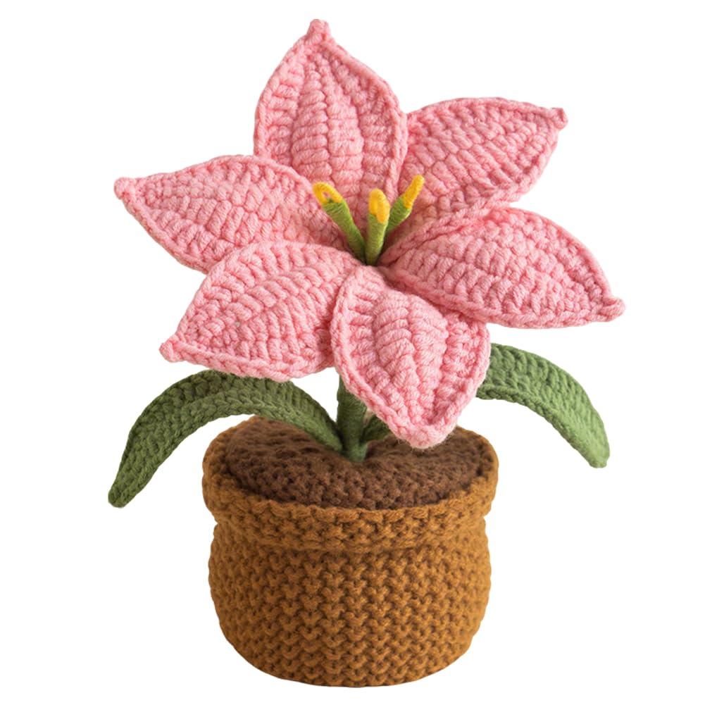 Introti Potted Plant Ornament Artificial Knitted Flower Pots Housewarmings Present Birthday Gift