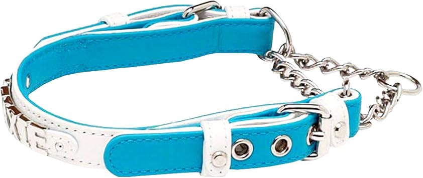 Amazon Co Jp 高品質本革ハーフチョークxs 調整可 毛切れの心配なし ホワイトターコイズブルー ペット用品