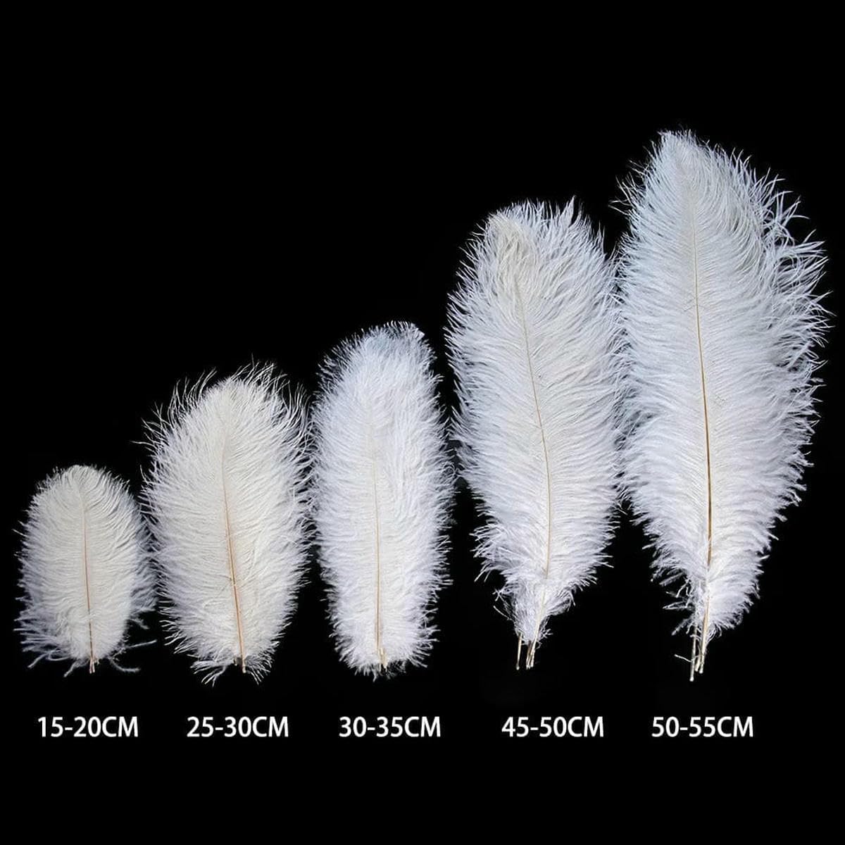 KiKiHong 10 Witte Struisvogelveren – 23 Cm, Natuurlijk, Perfect Voor Bruiloften, Feesten, Kerst En Bloemstukken (dierproefvrij)