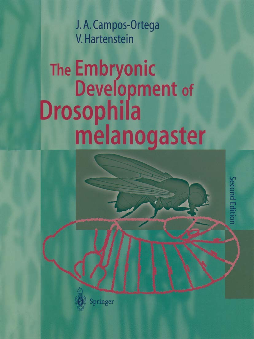 Snapklik.com : The Embryonic Development Of Drosophila Melanogaster