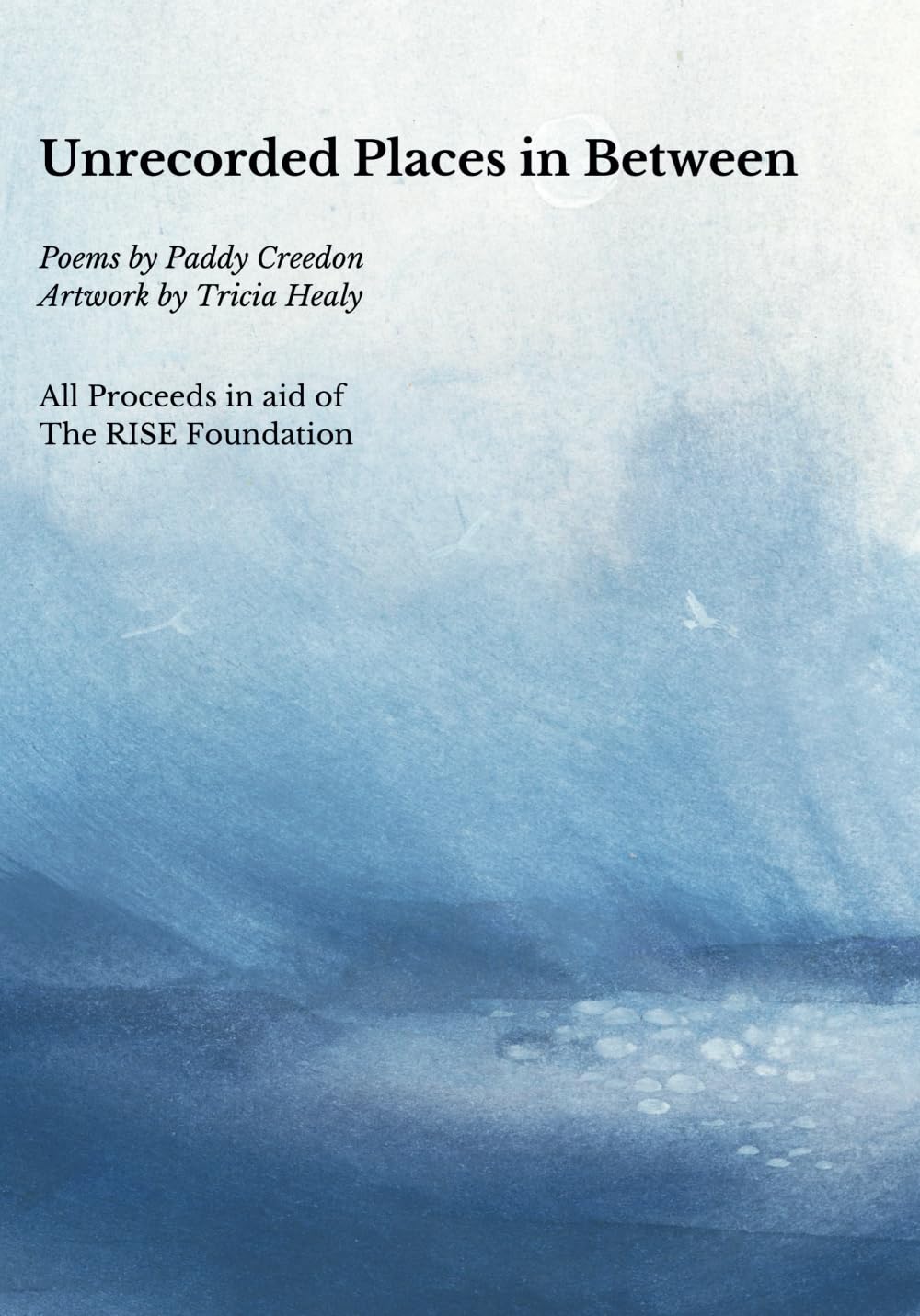 Unrecorded Places in Between: A short eclectic collection of poems