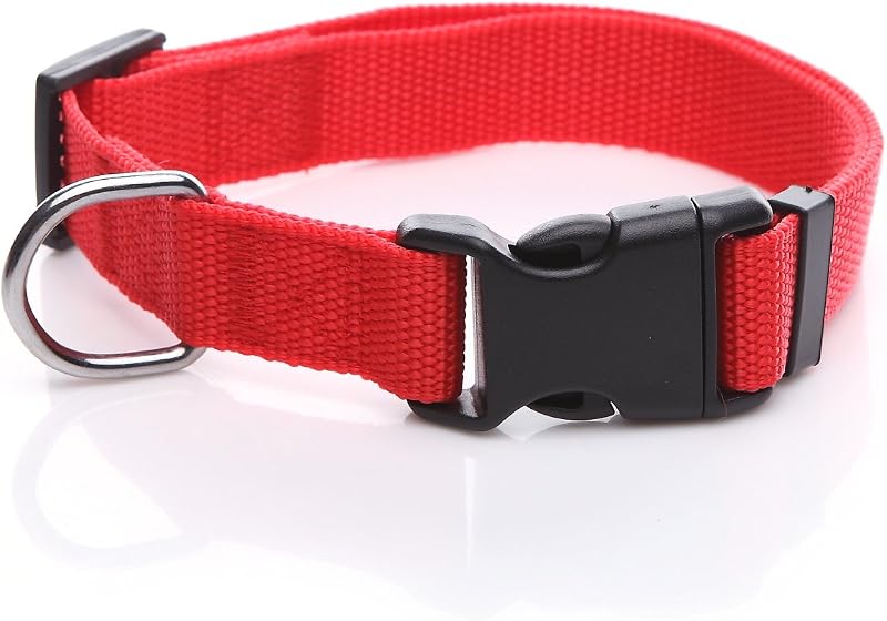 Coleira para Cães em Nylon Ajustável com Argola Metálica TAIDA, 5/8" Vermelha