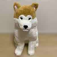 ほっこり秋田犬 はち兵衛 ST ぬいぐるみ ≪5月の新商品≫ほっこり秋田犬はち兵衛-NEW ITEM！｜アミューズ
