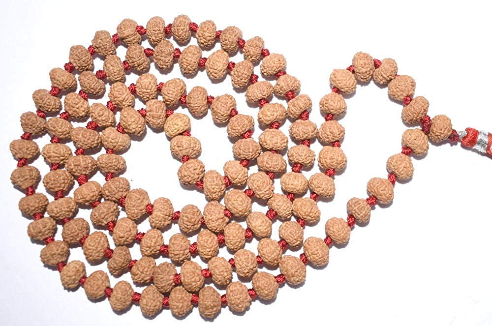 MAUTIK SADIWALA 10 face rudraksha mala 10 mukhi rudraksha mala 10 mukhi rudraksha mala Ten face rudrksha mala 108+1= 109 Beads (B084WHMDF2) Amazon Price History, Amazon Price Tracker