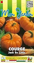 Jack Be Little Squash Seed Bag - 3g - Vegetable Fruit - LES GRAINES BOCQUET