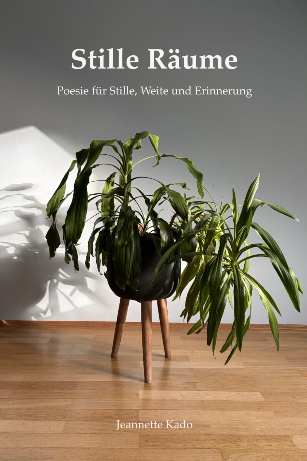 Stille Räume: Poesie für Stille, Weite und Erinnerung