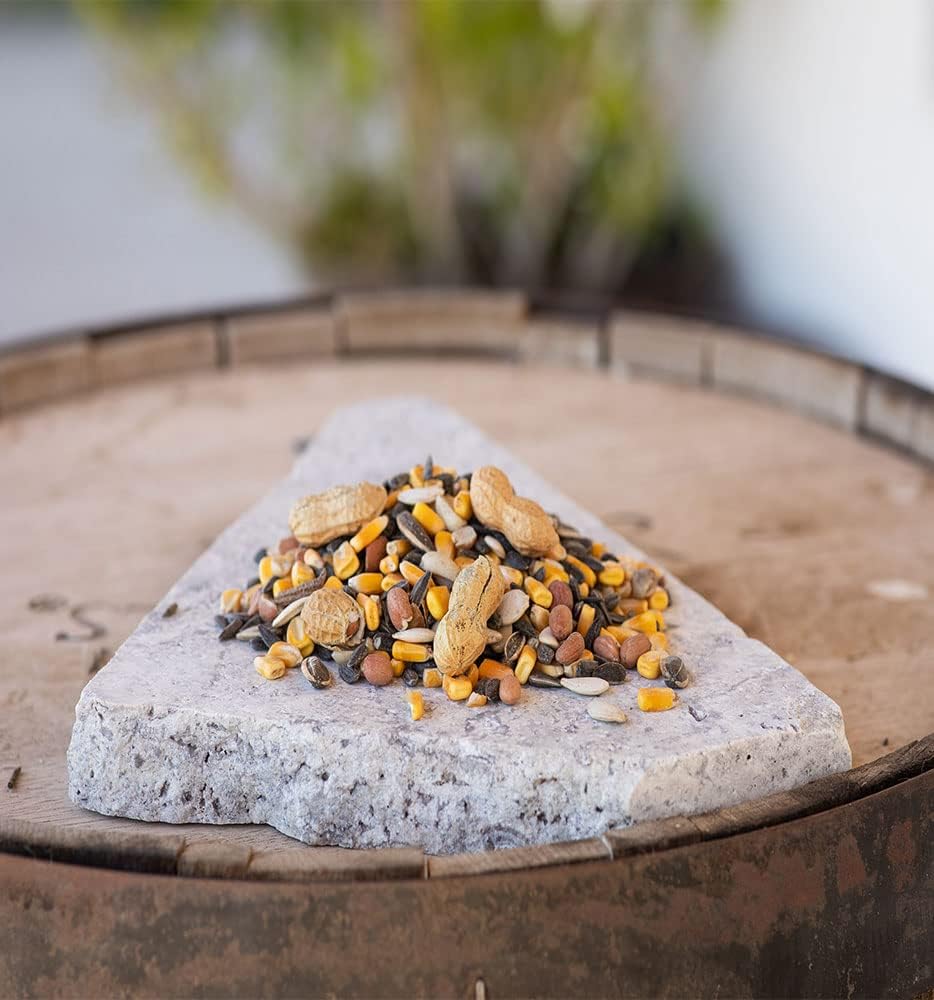 Buy Desert Valley Premium Critter Blend Wildlife Wild Bird Food