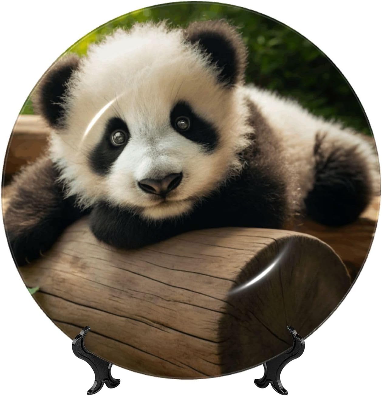 Cute-Animal-Panda 10 Inch Decorative Plate With Stand, Elegant Display Wall Plate For Home Decor