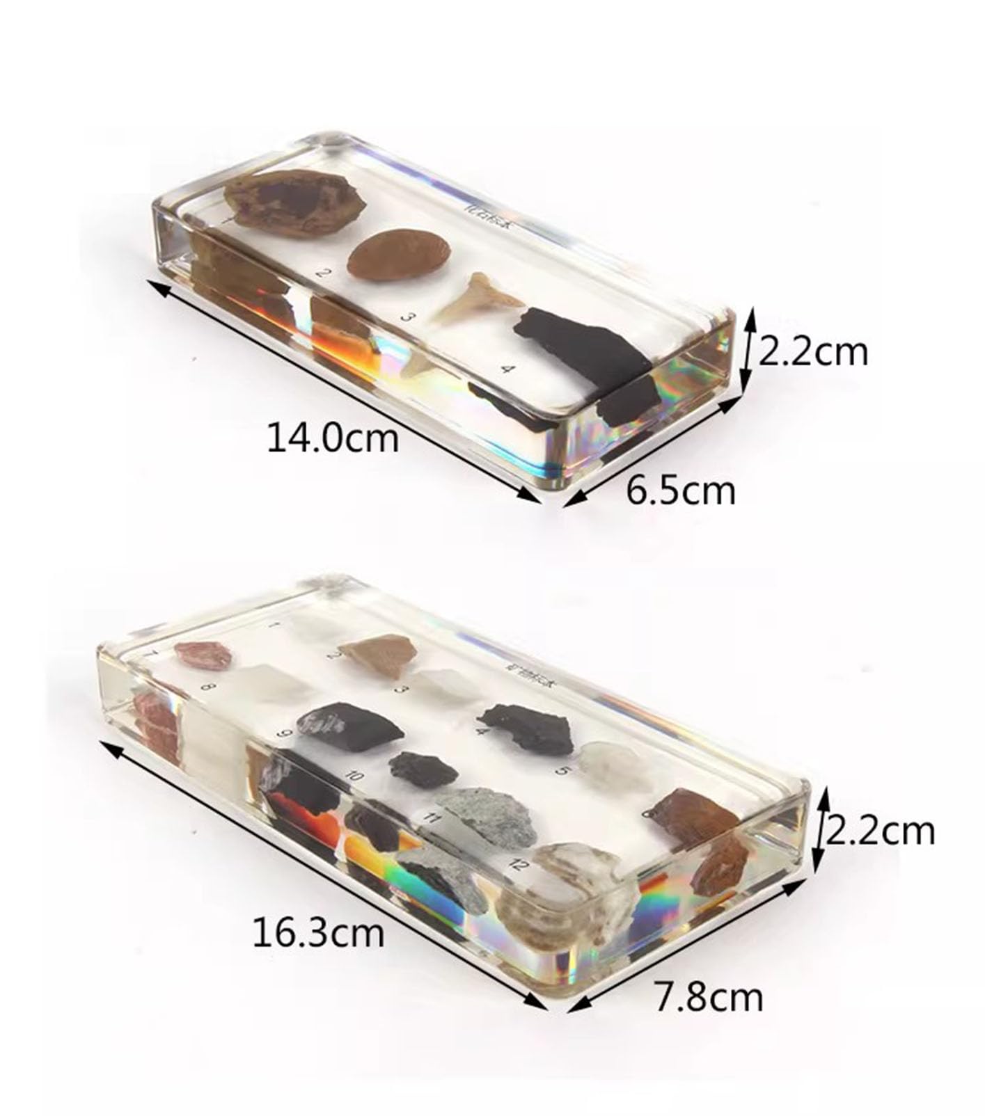 tyzqsm Specimens di Rocce e fossili minerali Montessori per insegnamento scientifico e culturale, Giocattolo educativo STEM,Rocks
