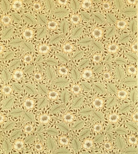 Affiche Toile Briar Rose William Morris 60x90cm pour décoration murale de salon