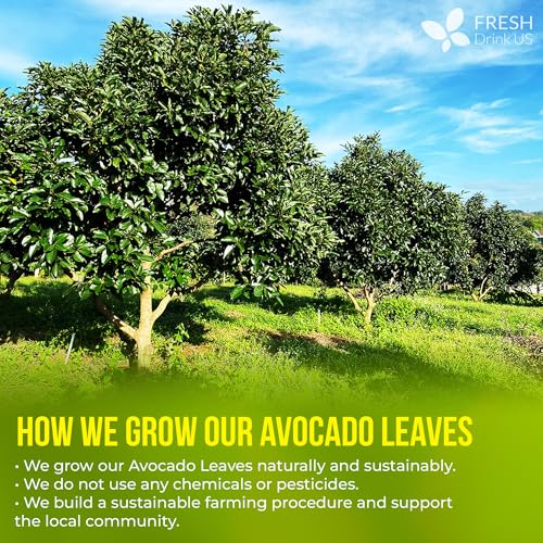 Image of FreshDrinkUS, Avocado Leaf Tea Bags | 40 Count | Premium Dried Avocado Leaves Herbal Tea - Caffeine Free Botanical Tea - Fresh, Smooth & Earthy Flavor. Sugar Free. Vegan