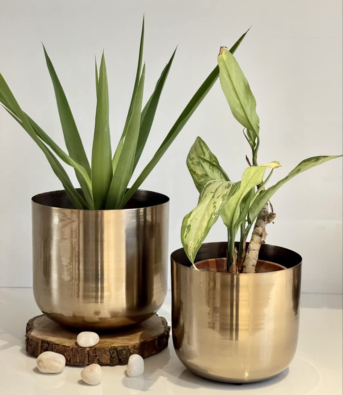 See full amazon price history chart for Urban Born Set of 2 Planter with Plant Stand and Flower Pot for Home Decor and Indoor and Outdoor Gardening (Dark Gold) Urban Born Set of 2 Planter with Plant Stand and Flower Pot for Home Decor and Indoor and Outdoor Gardening (Dark Gold) (B09YDGTMHQ) Amazon Price History, Amazon Price Tracker