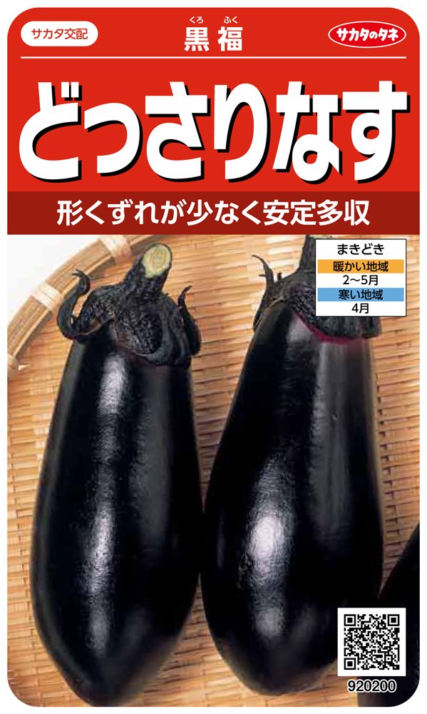 極上　茄子　置物　東さ8-0410① Amazon | サカタのタネ 実咲野菜0200 どっさりなす 黒福 00920200 | 種・苗