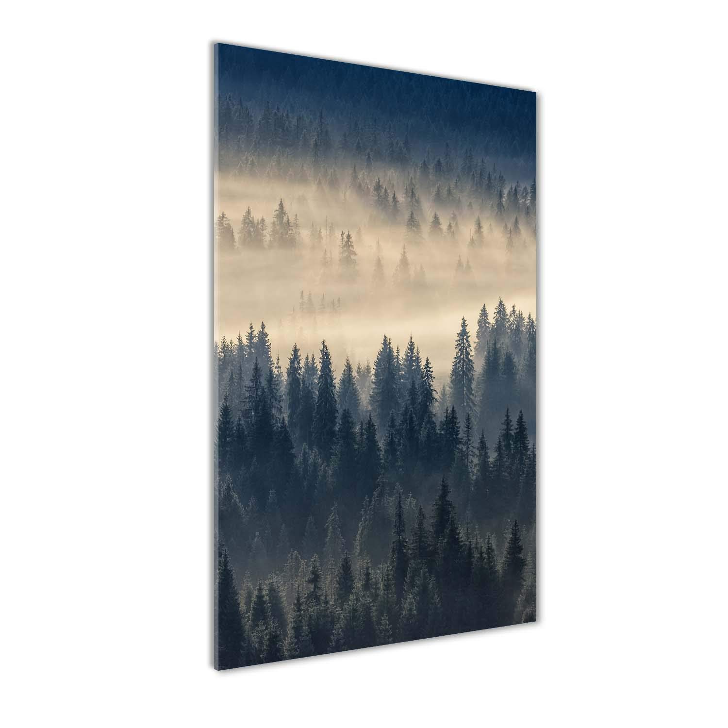 Tableau verre trempé 70x140cm pour mur vide déco forêt brume grise