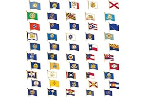 US State Flag Enamel Lapel Pin