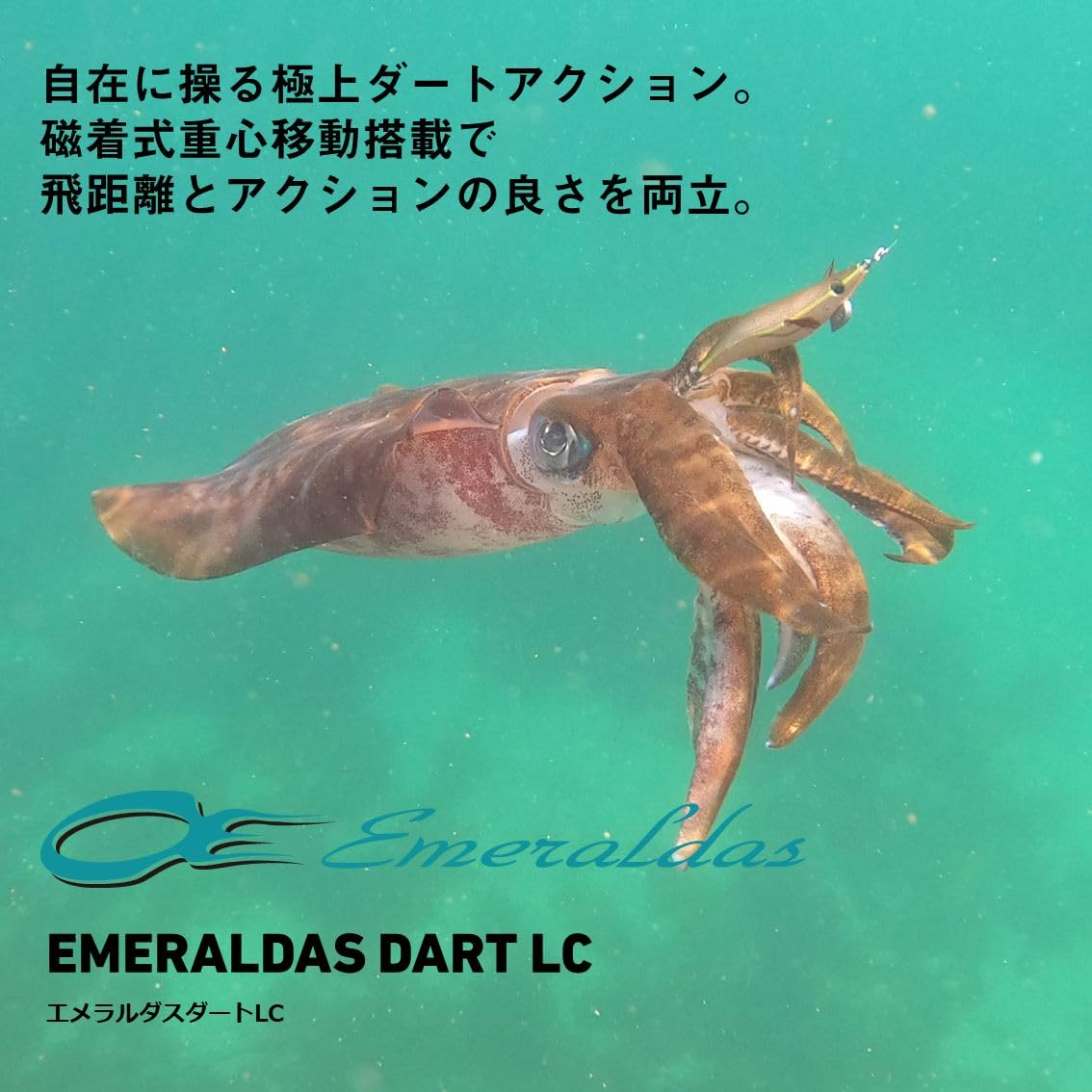 Amazon | ダイワ(DAIWA) エギ/餌木 エメラルダスダートLC3.0 ピンク