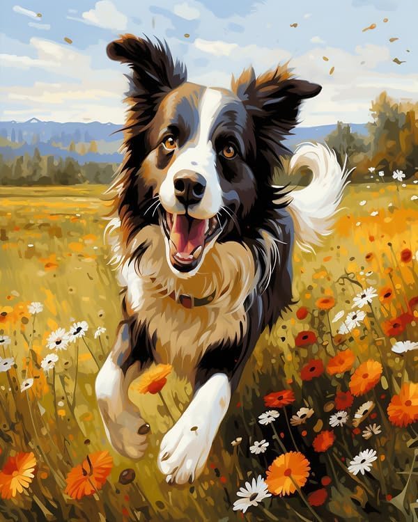 Miniatura 9 de ZMHZMY Pintura al óleo por números para principiantes, Border Collie corriendo sobre la hierba, kits de pintura por números, pintura al óleo, lienzo