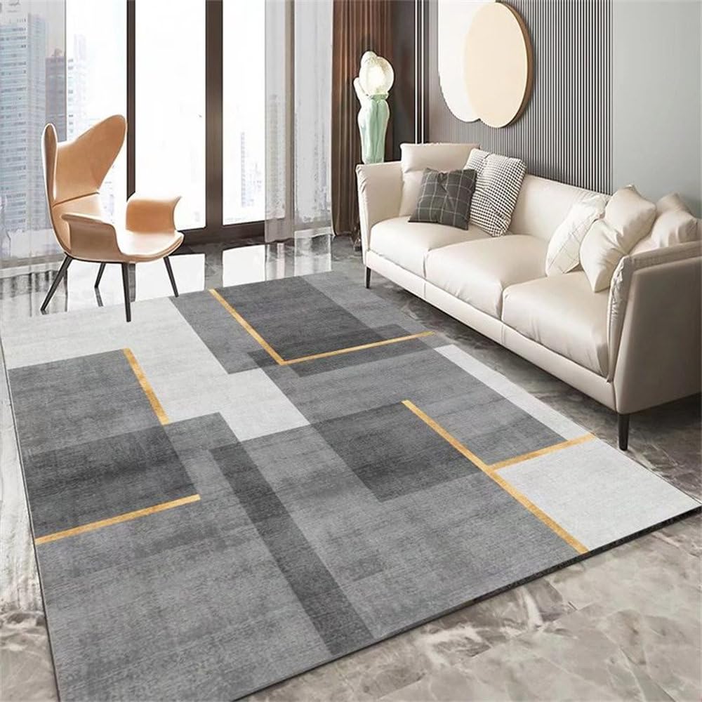 Carpet Living Room Sofa Coffee Table Floor Mat Luxury Bedroom Decor Home Soft Mats Carpets for Rooms Large Rug,Flannel 1,100X160cm 39.4x63in