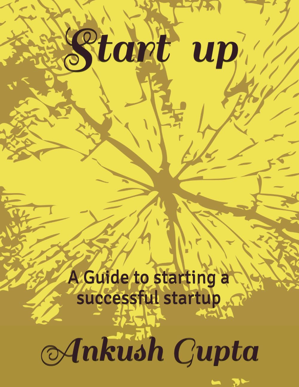 Start-up: A Guide to starting a successful startup