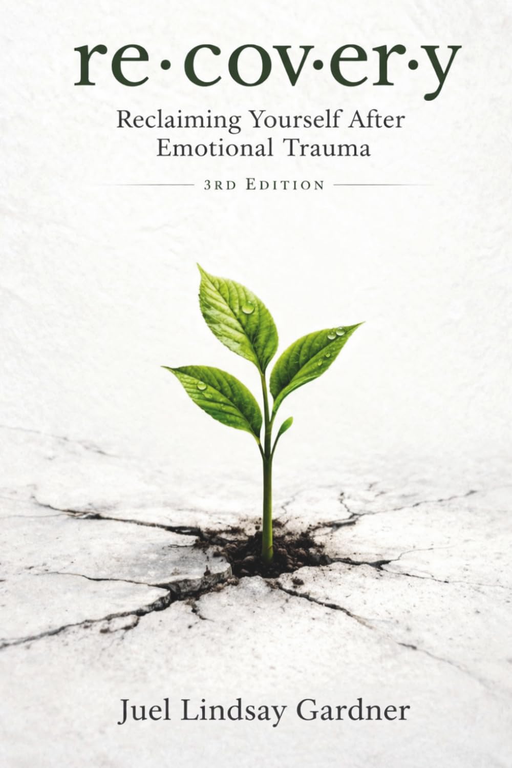 re·cov·er·y: Reclaiming Yourself After Emotional Trauma (3rd Edition)