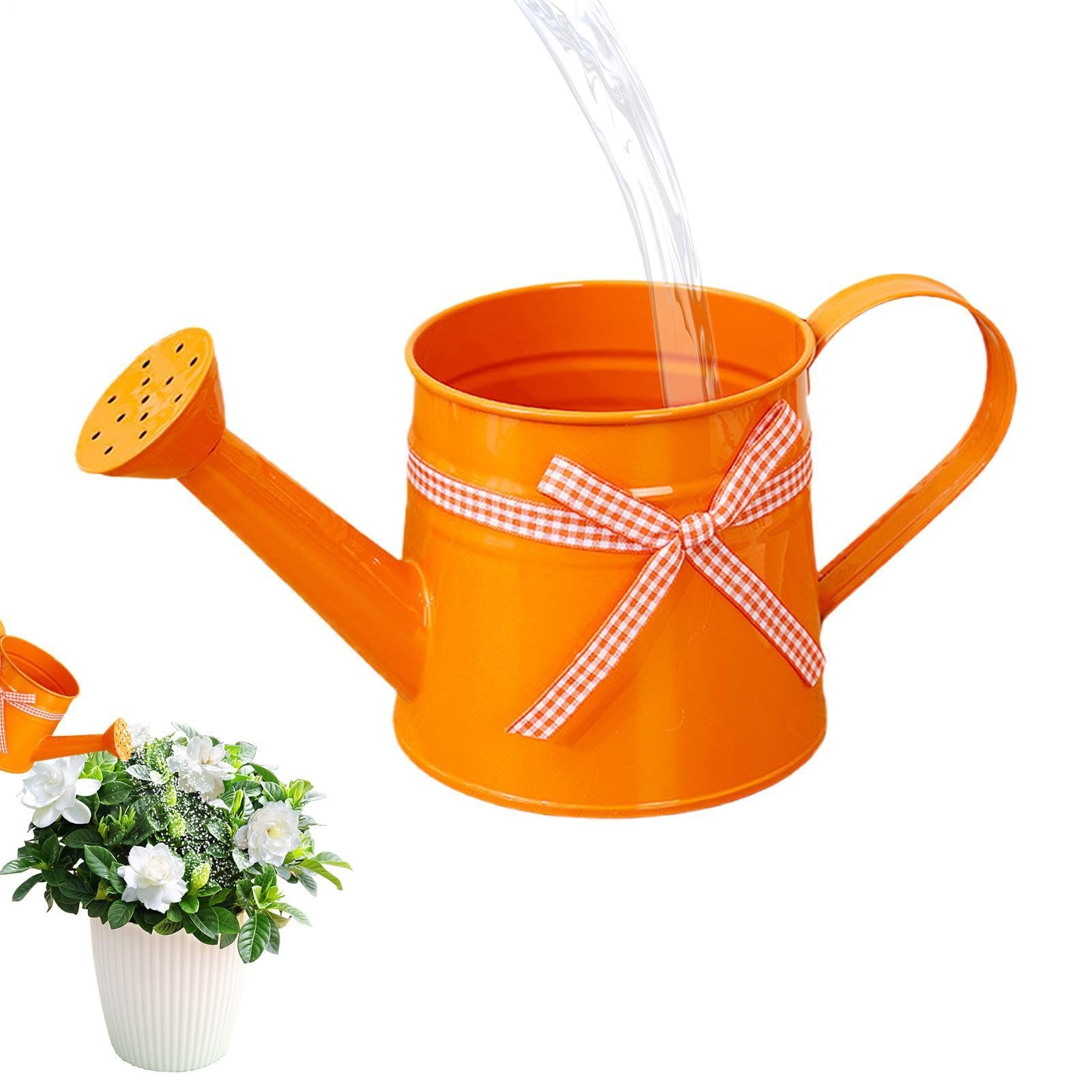 Small Iron Watering Can, 1L Metal Watering Pot, Modern Plant Waterings Can, For Home Office Balcony Garden Outdoor Indoor Bonsai Flowers — image 1