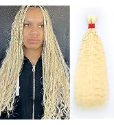 Super French Bulk Human Hair for Braiding No Weft 100g (1Pack-2Bundles) 100% Unprocessed Brazilia...