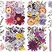 Eshow 113Pcs Dried Pressed Flowers for Crafts, Natural Dry Flowers for Resin with Tweezer for Scrapbooking DIY Art Crafts, Epoxy Jewelry Molds, Candle, Soap Making