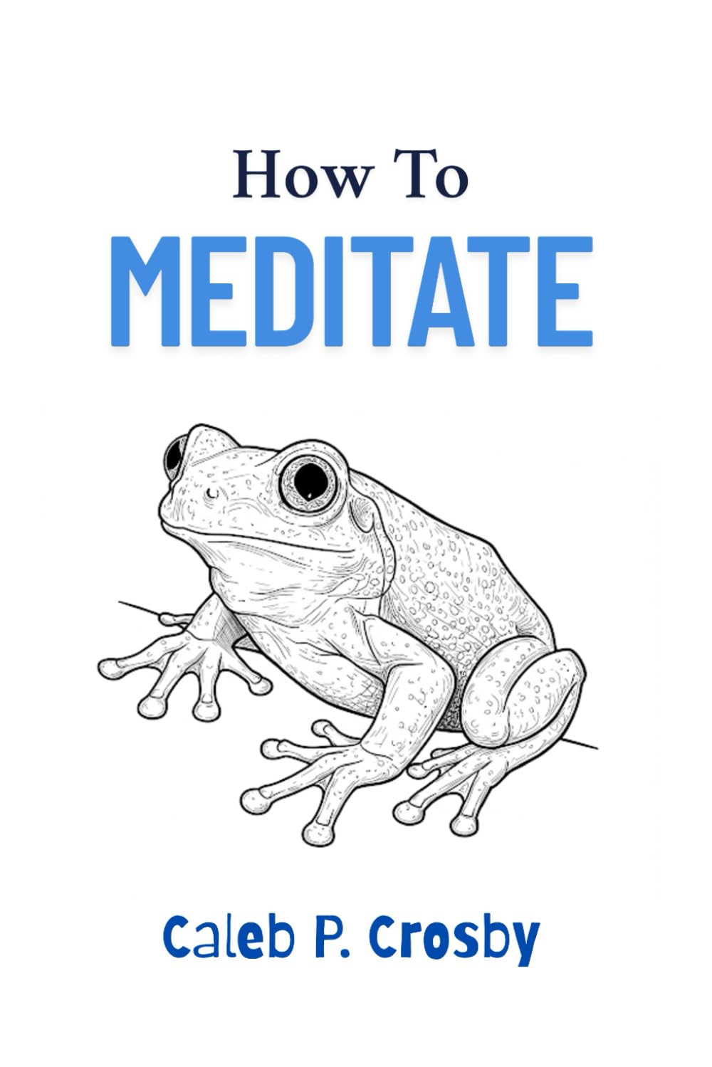 How to Meditate: Mindfulness Meditation for Beginners (How To Guides For People Who Are Trying)