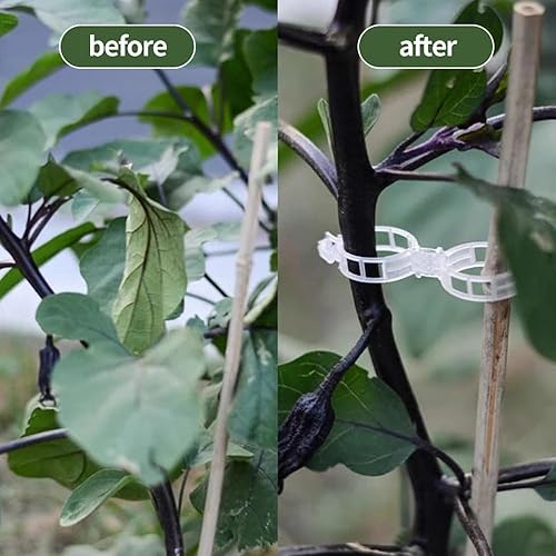 Miniatura 4 de Clips de soporte para plantas, clips de jardín reutilizables, clips de plástico para tomate, vid y uva para cuerdas, clips para plantas trepadoras,