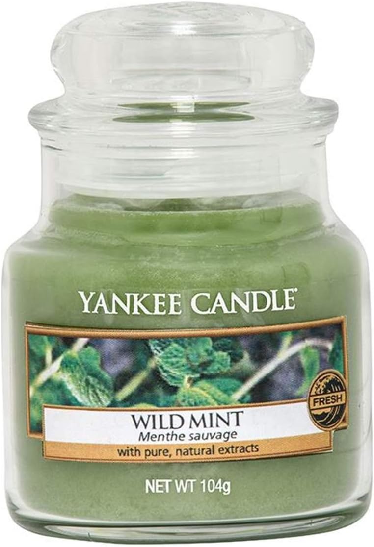 Yankee Candle Wild Mint Small Jar Candle, Green