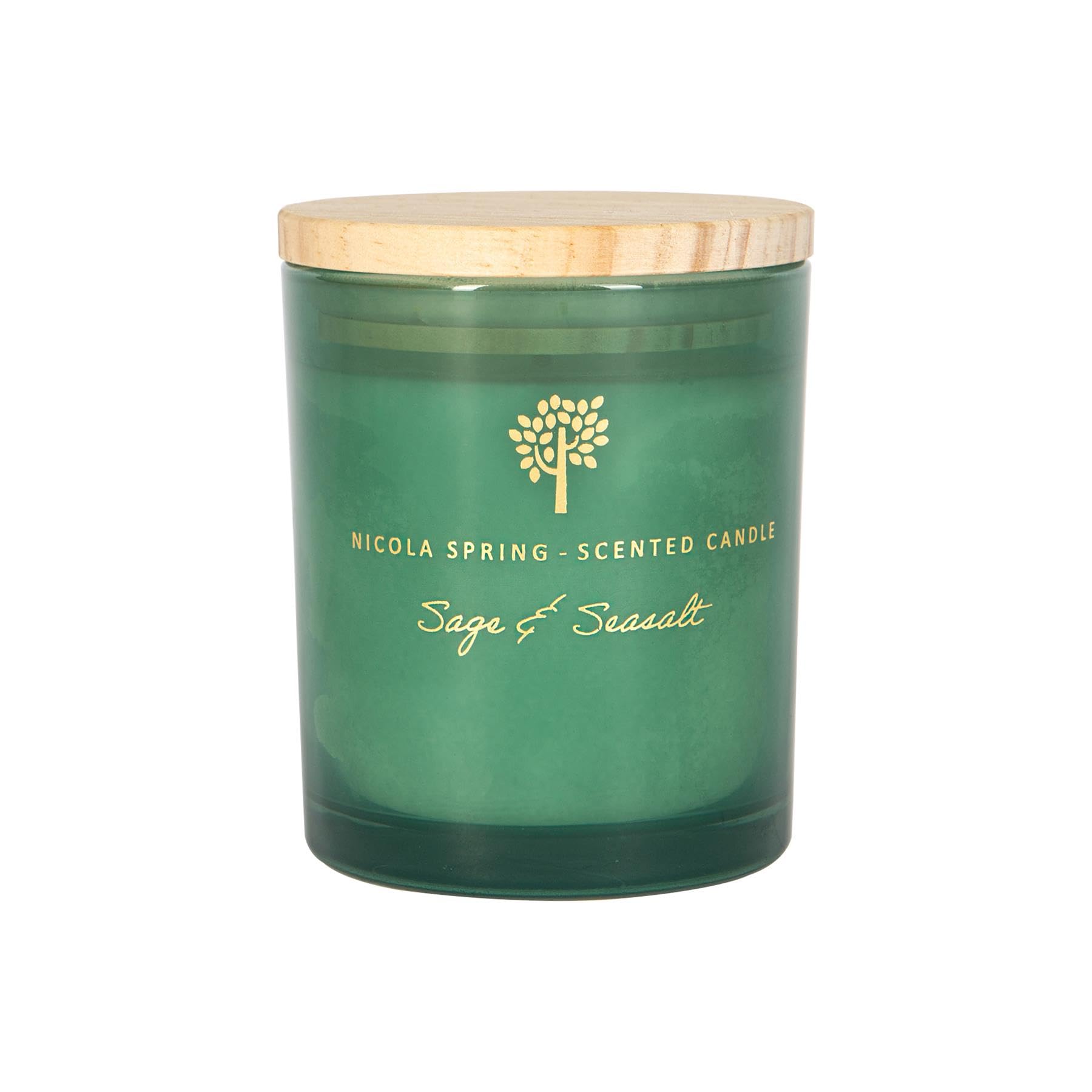 Nicola Spring Sage & Seasalt Scented Candle - Soy Wax, 130G, Green