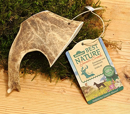 Dehner Best Nature Hundesnack, hochwertiges Leckerli geruchsarm / 100 % narürlich, Kausnack für Hunde, Damhirsch-Geweih, Größe M
