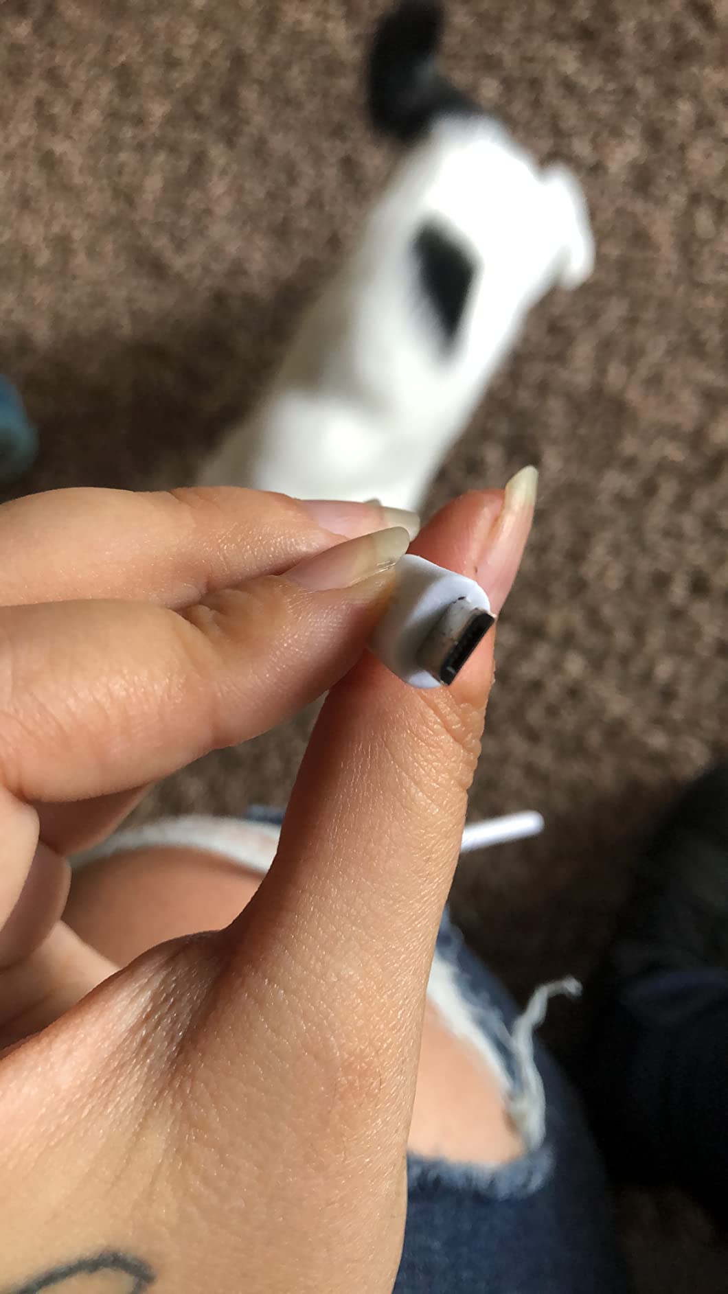 Customer photo